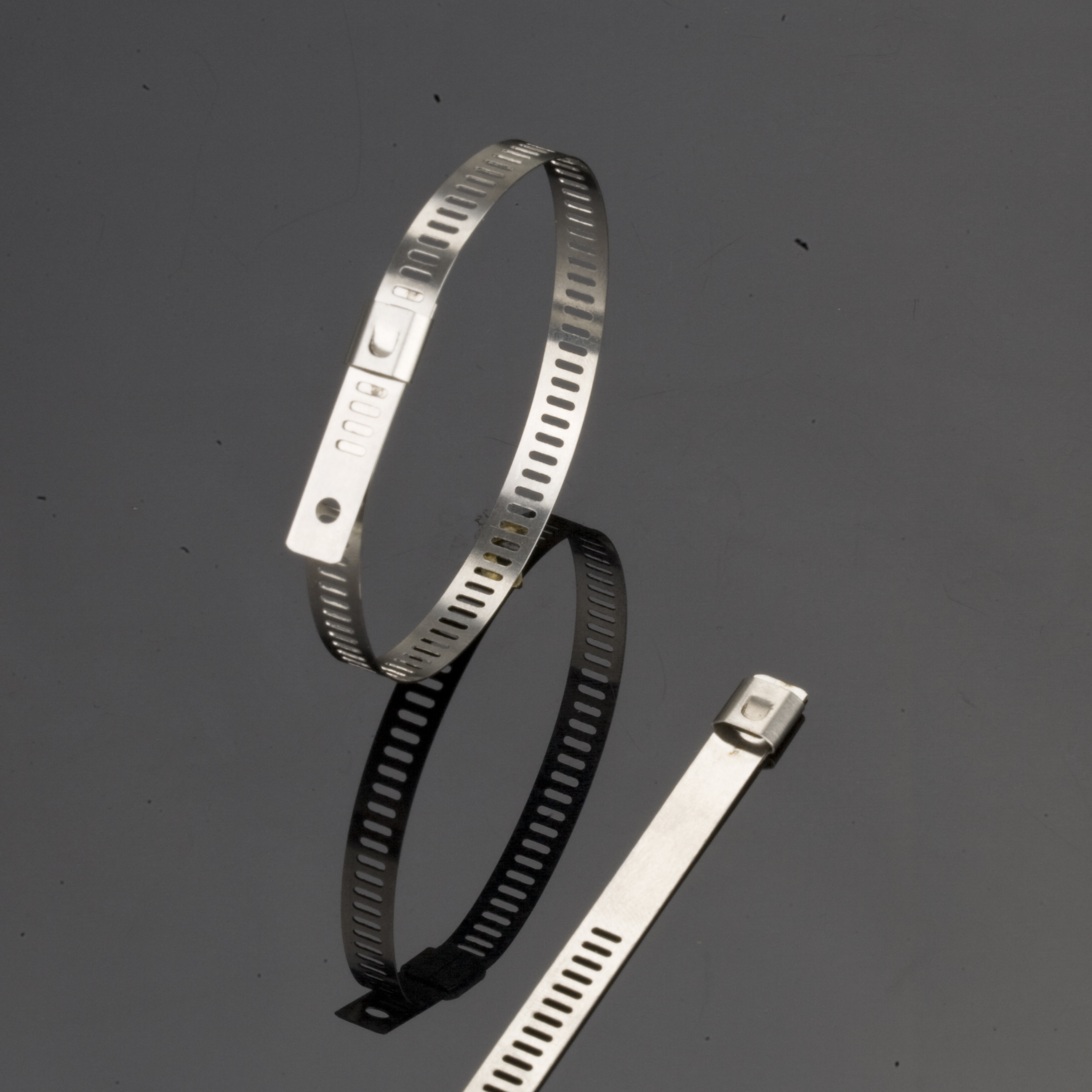 Attaches de câble en acier inoxydable - Attaches non revêtues à verrouillage unique pour échelle