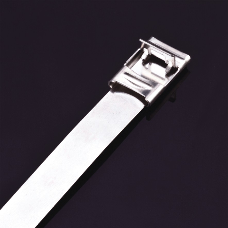 Attaches de câble en acier inoxydable - Attaches non revêtues de type F